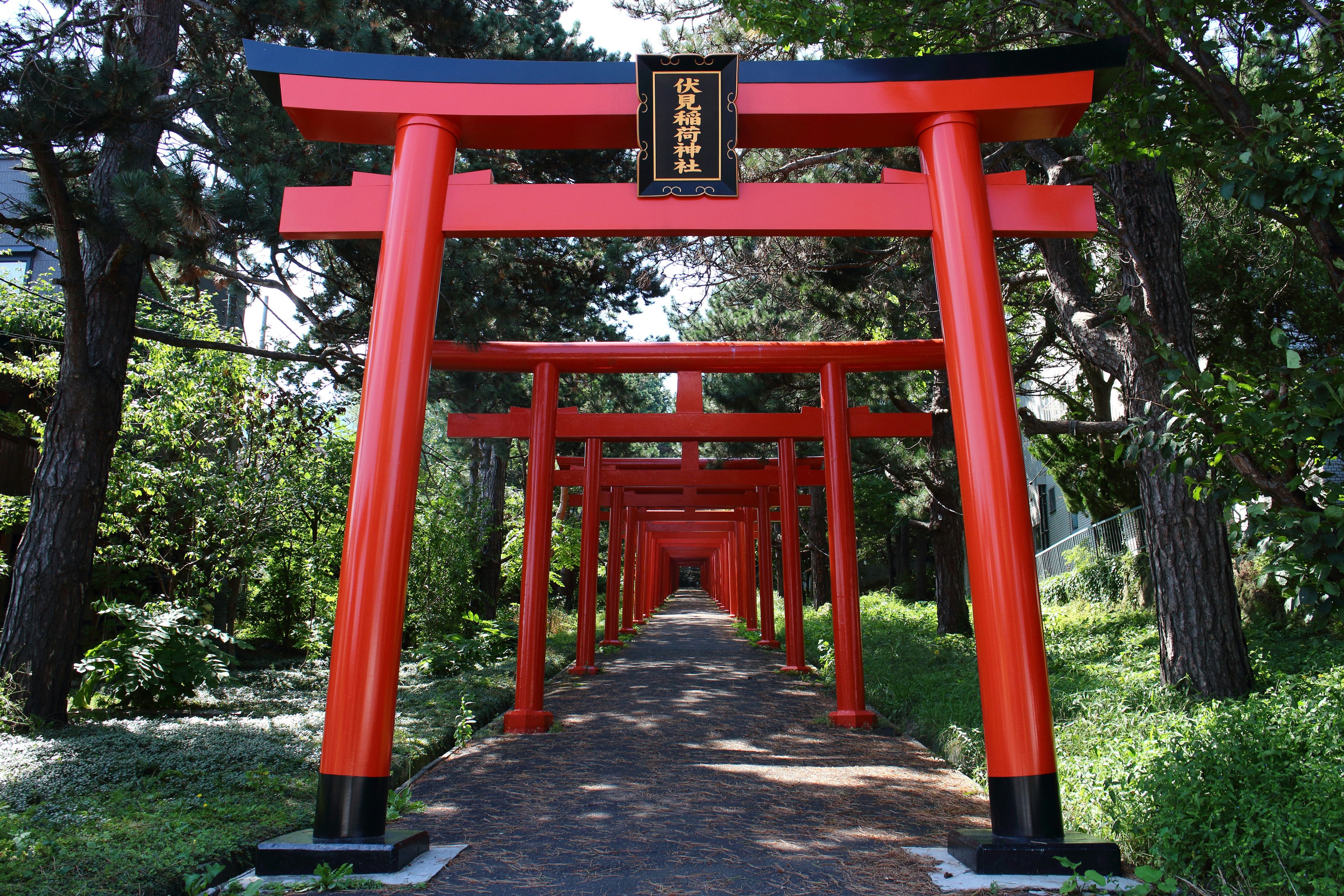 Photo by da_shika_photo