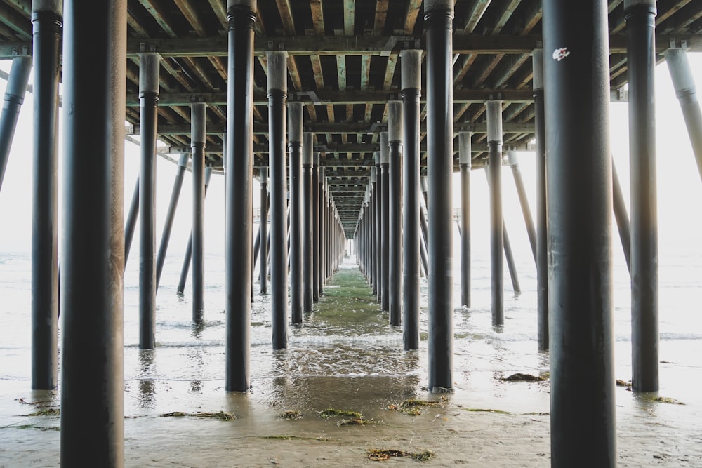 a row of wooden poles sitting under a pier