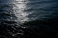 A wave energy converter bobbing rhythmically on the surface of choppy sea waters.