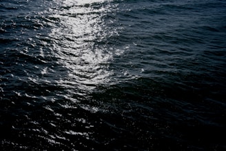 A wave energy converter bobbing rhythmically on the surface of choppy sea waters.