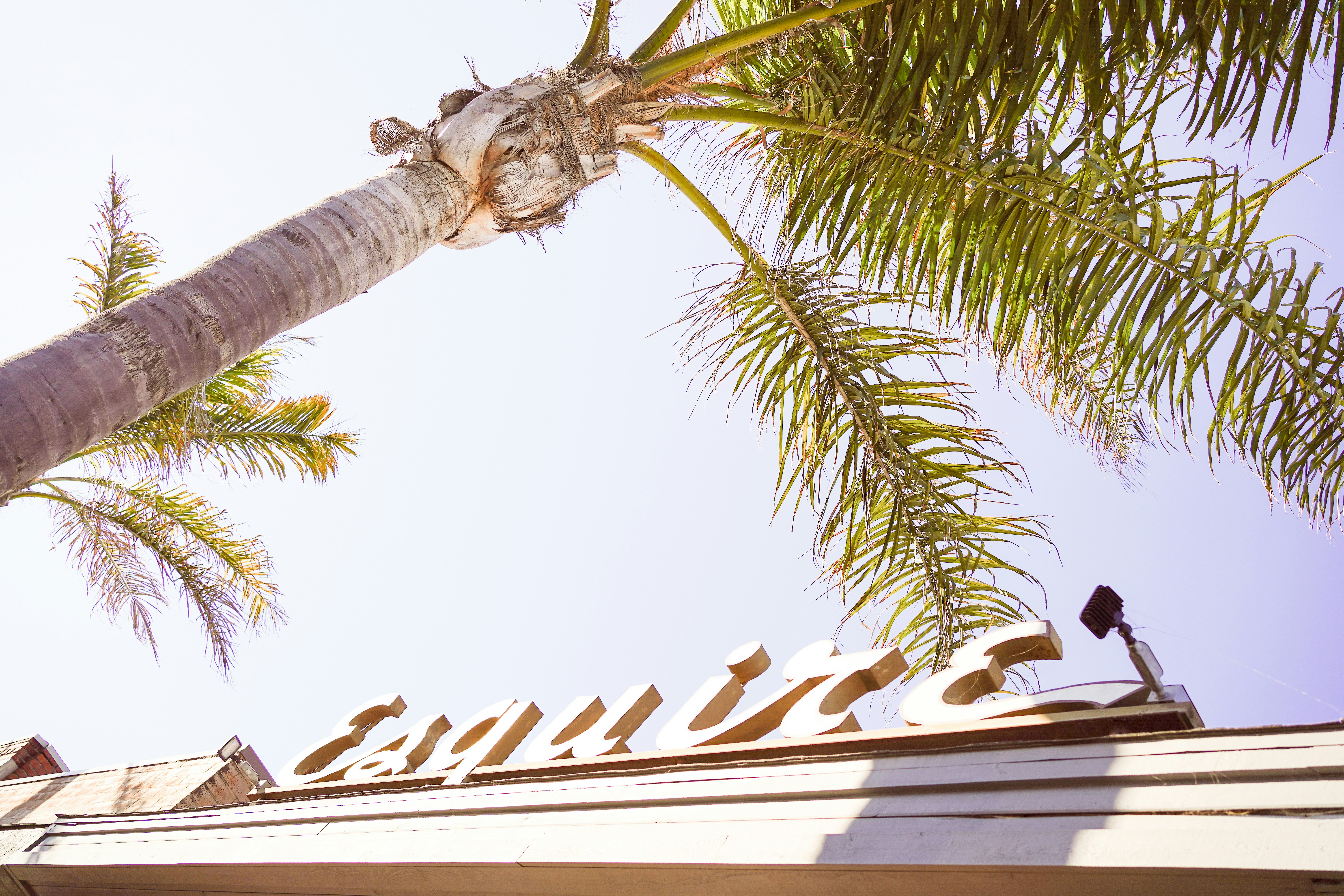 A tall palm tree sitting next to a building photo Free Pismo beach