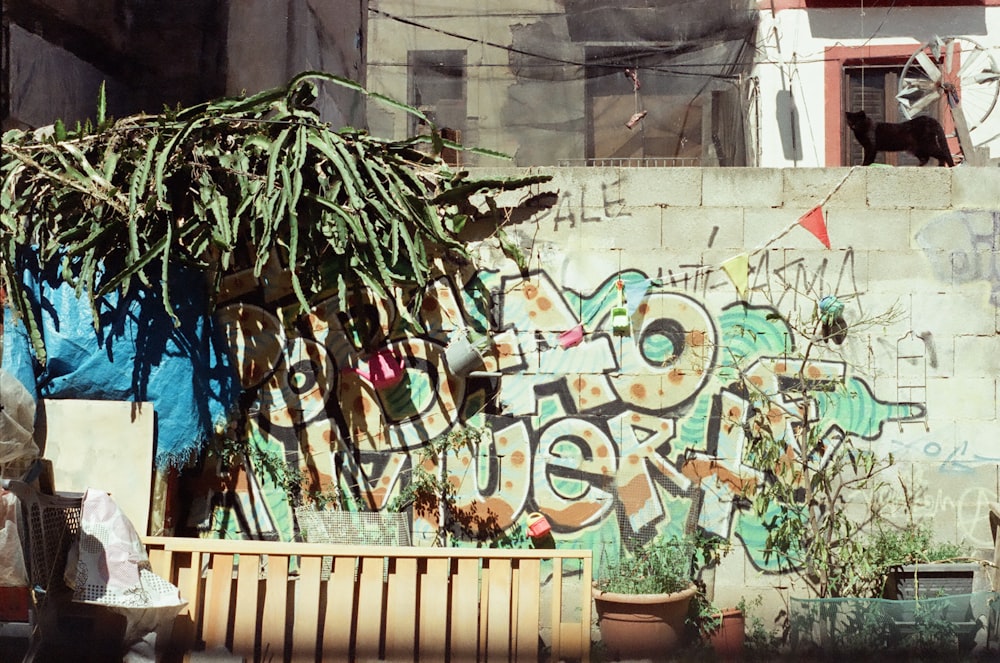 um banco de madeira sentado em frente a uma parede coberta de grafite
