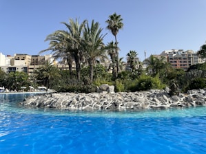 A sparkling clean residential pool surrounded by desert landscaping under a clear blue sky.