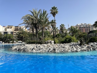 A sparkling blue swimming pool surrounded by manicured greenery.