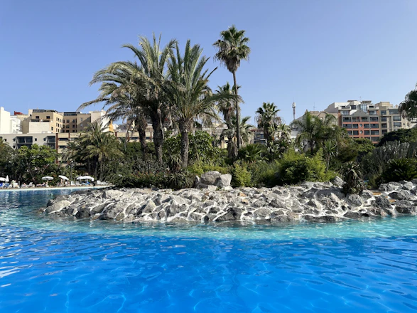A sparkling blue swimming pool surrounded by tropical plants under a bright sunny sky.