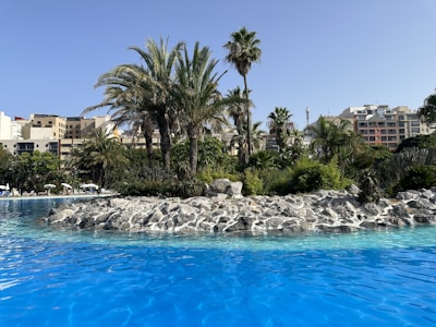 A sparkling clean residential pool surrounded by desert landscaping under a clear blue sky.