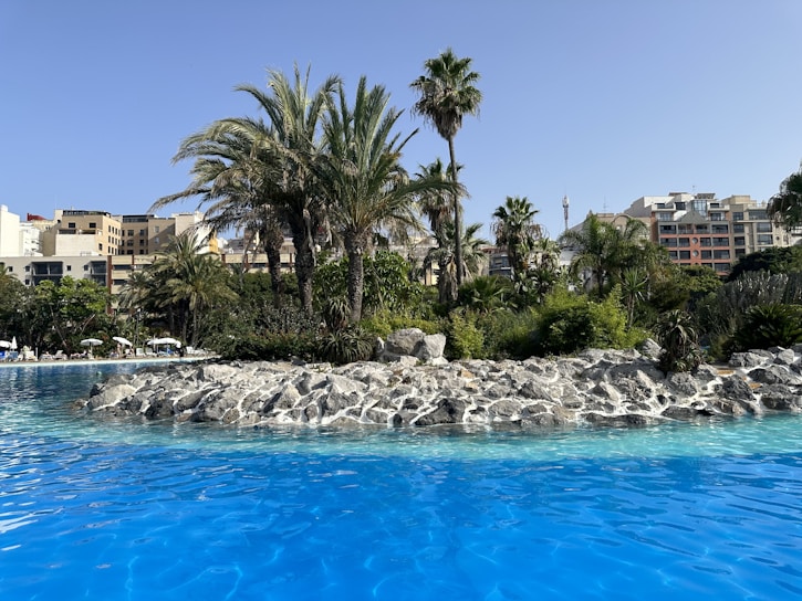 A sparkling blue pool in a sunny Temecula backyard surrounded by lush greenery.