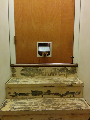 A small Jack Russell dog using a medium-sized dog door in white on a garden door.