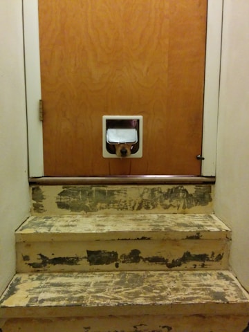 Close-up of pet-safe materials used to seal small entry points around a home.