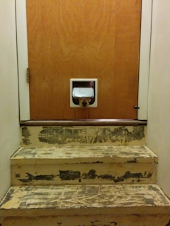 A small dog is peeking through a pet door at the bottom of a wooden door. The stairway leading to the door has chipped and worn paint, giving a rustic or well-used appearance.