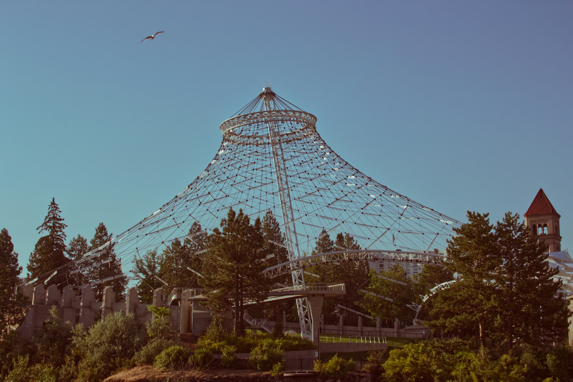 a large metal structure sitting in the middle of a forest