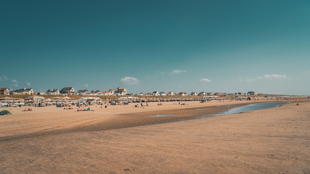 a group of people on a beach near a body of water