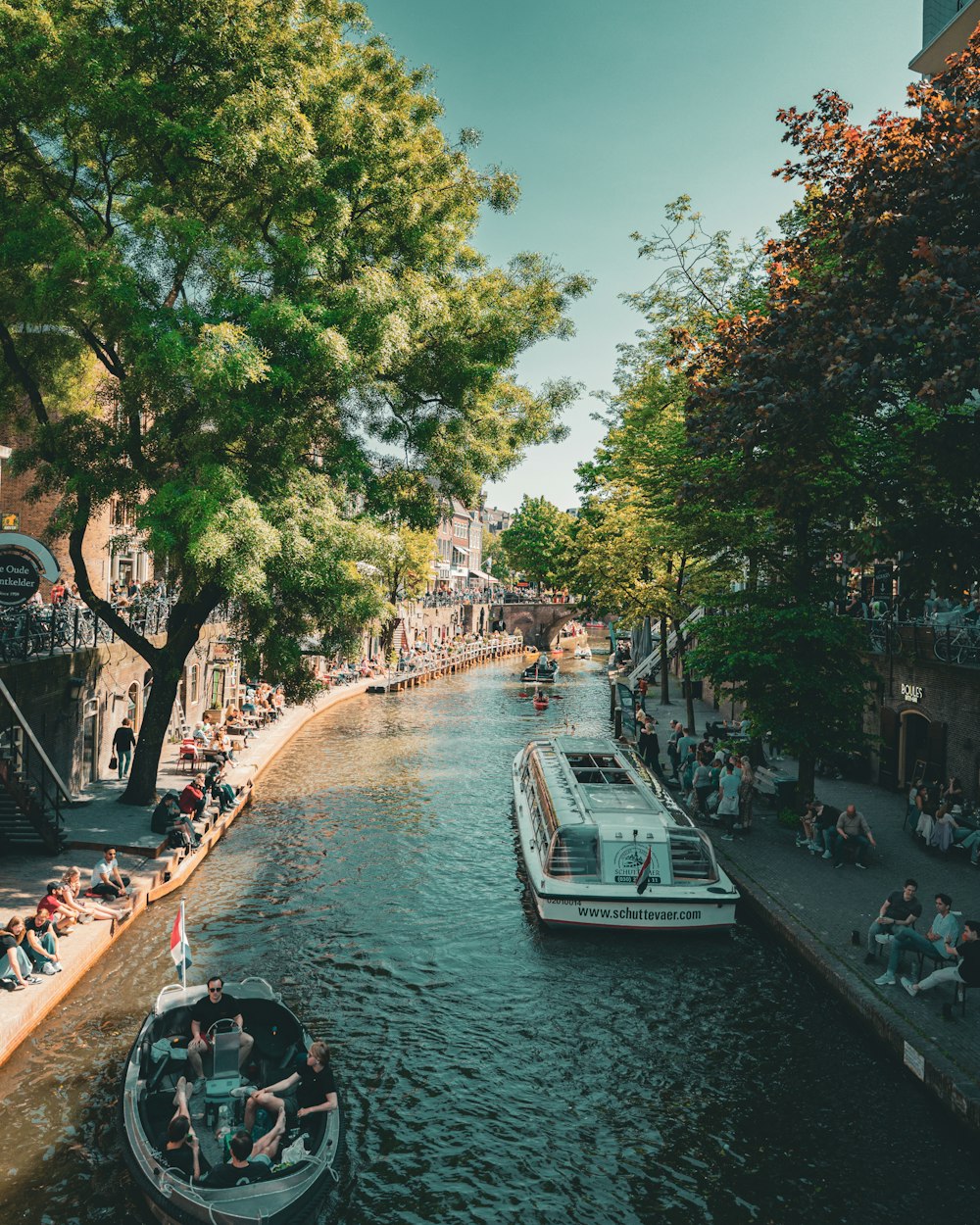 a boat traveling down a river next to a lush green forest