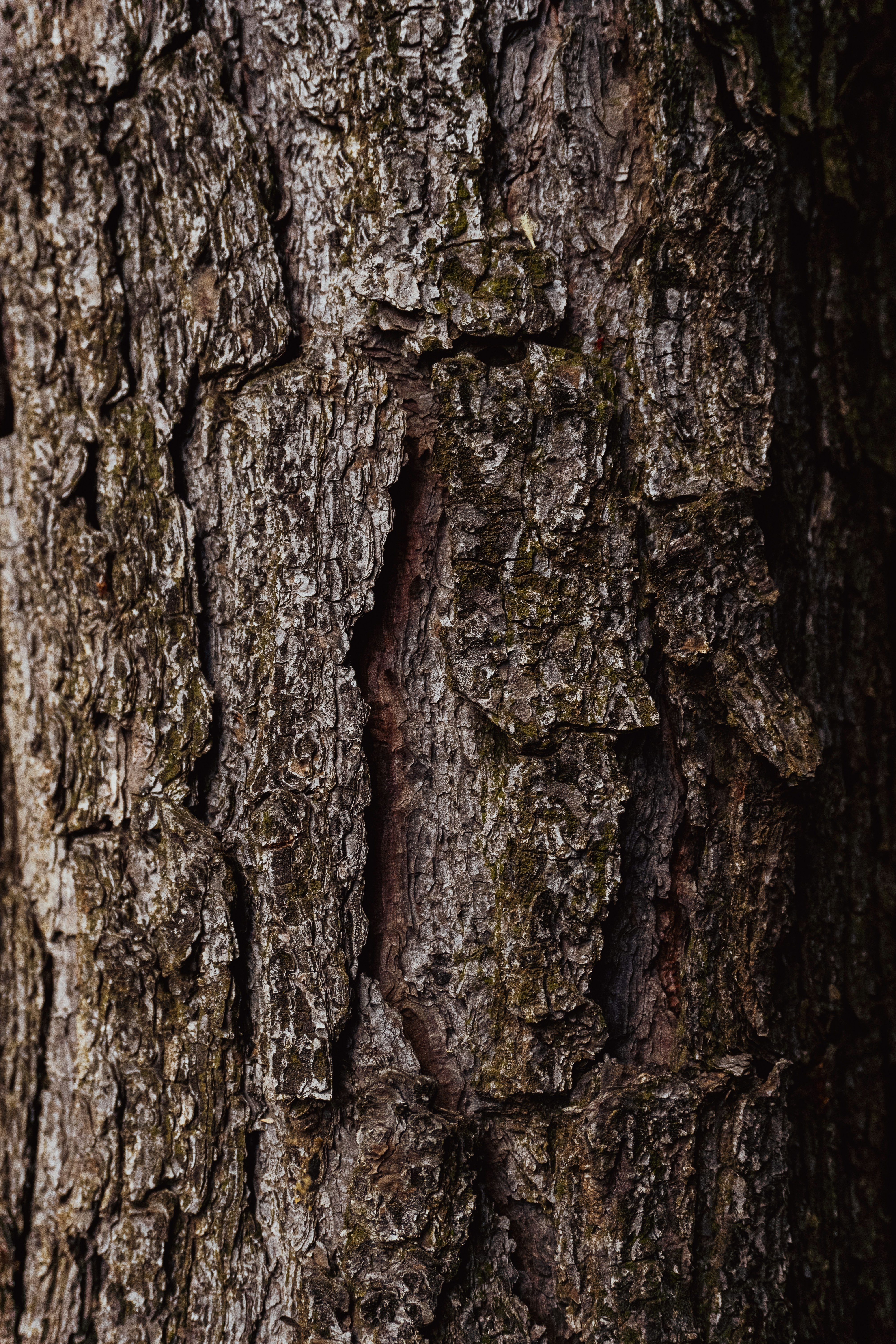 Photo by andreicastanha