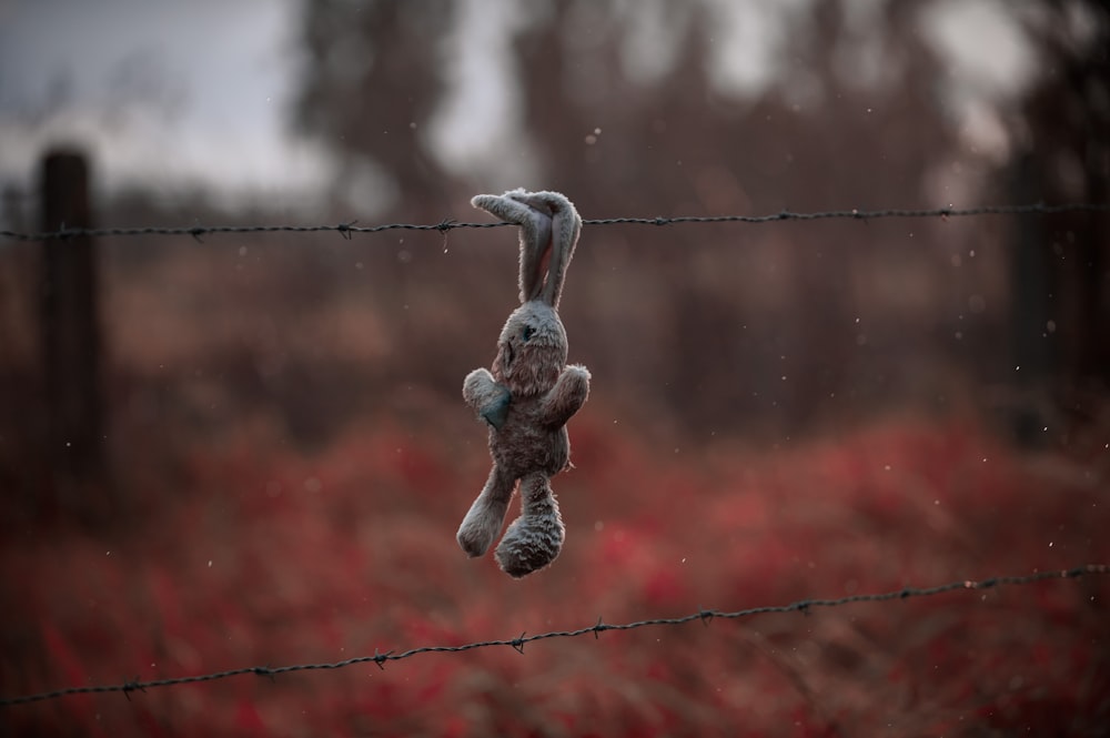 a stuffed animal hanging on a wire fence