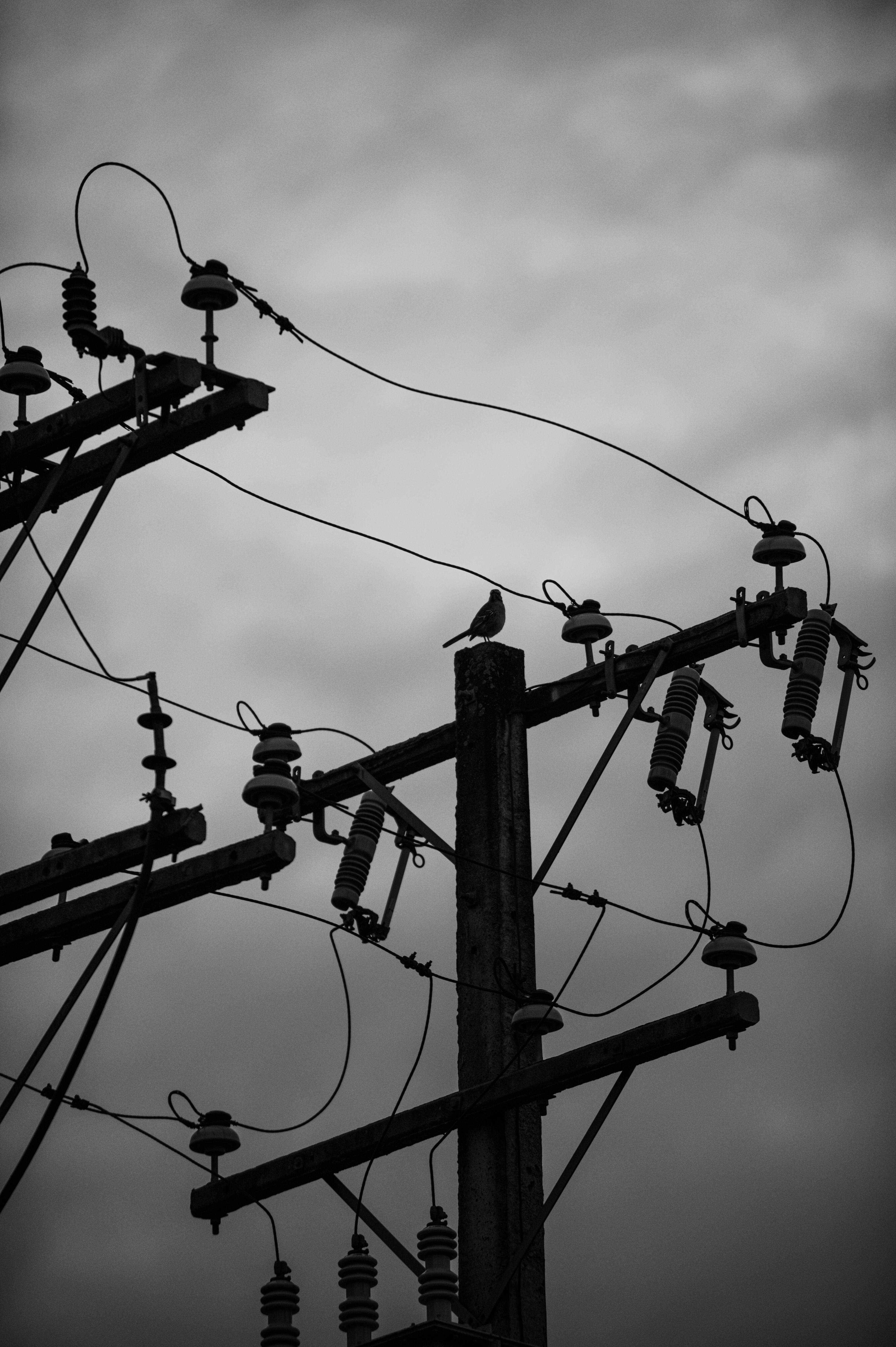 Photo by natachairken