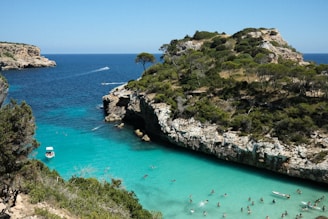 a group of people swimming in a body of water