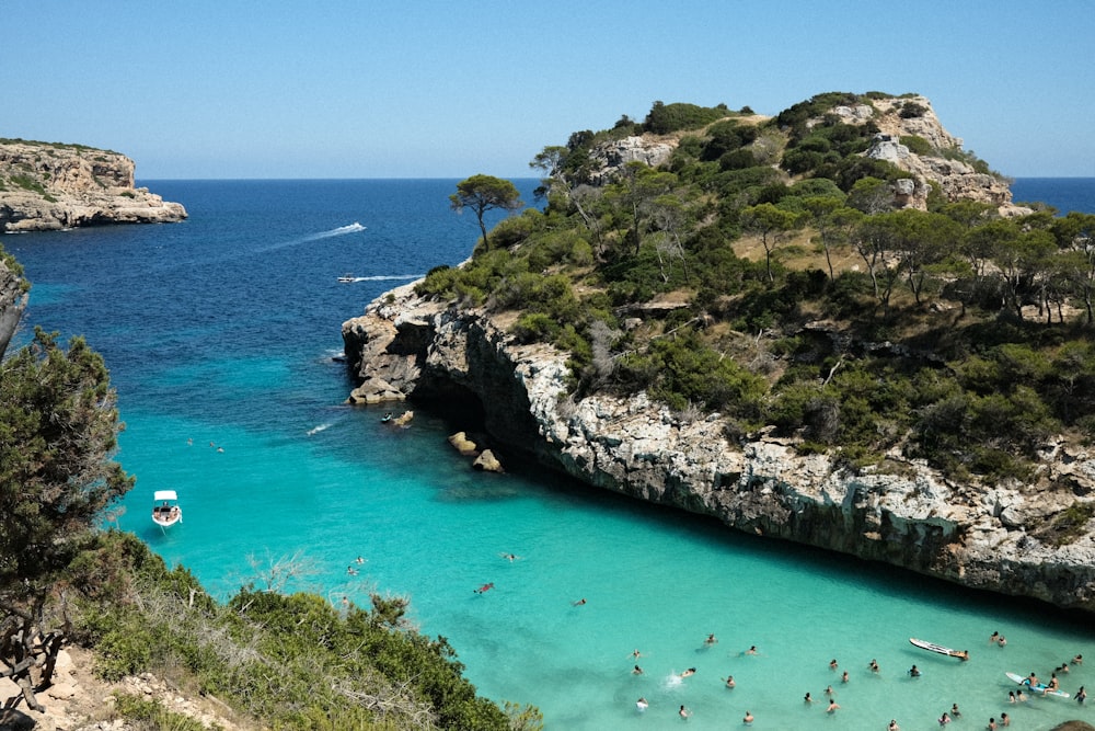 a group of people swimming in a body of water