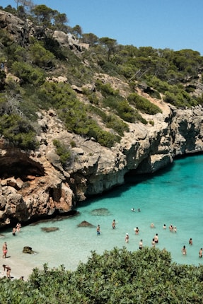 People enjoying a sunny day at a picturesque cove with turquoise water and rocky cliffs. The scene includes swimmers in the water and sunbathers on the sandy beach. Lush green shrubs and trees cover the surrounding cliffs.