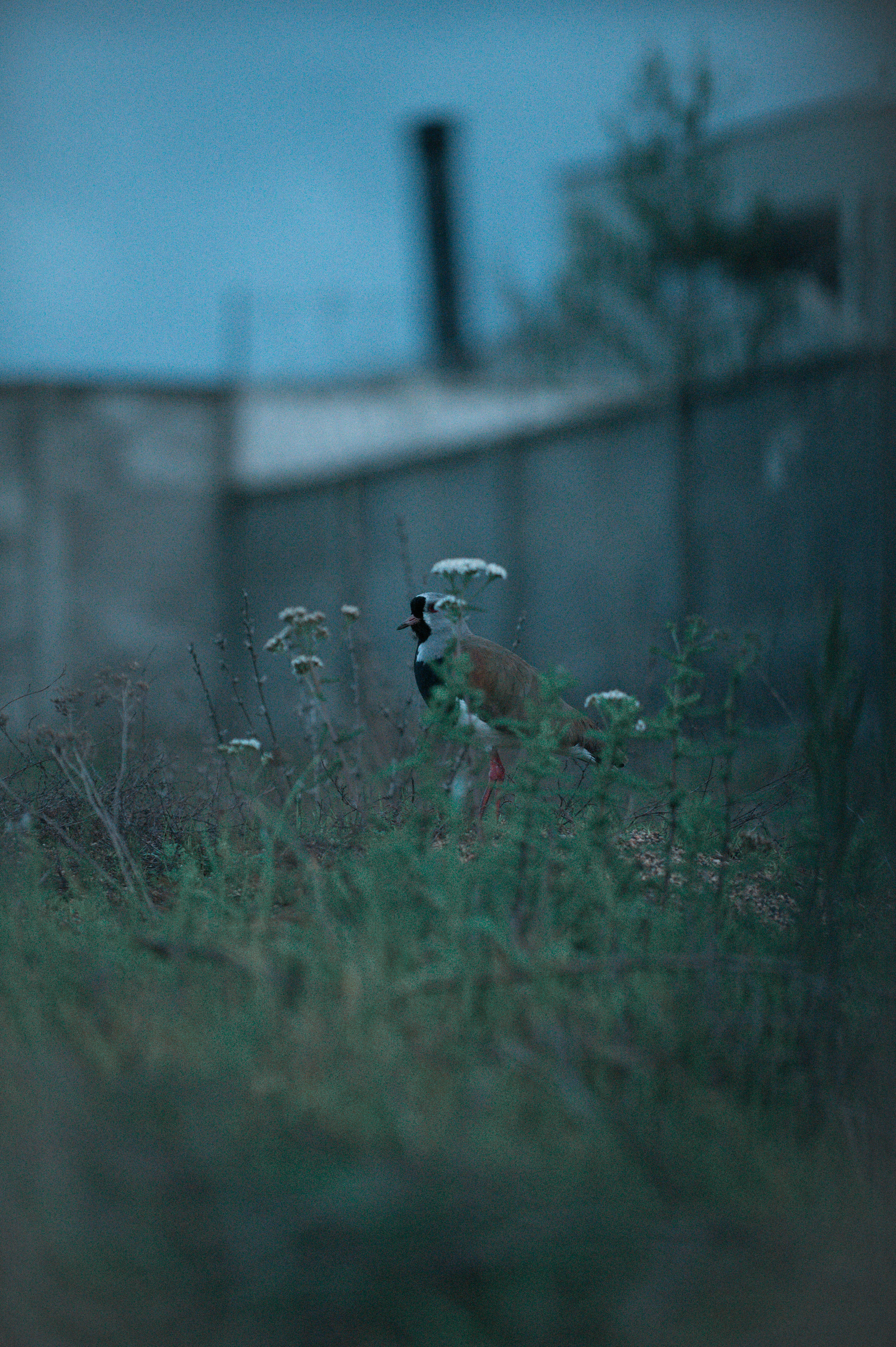 Photo by natachairken