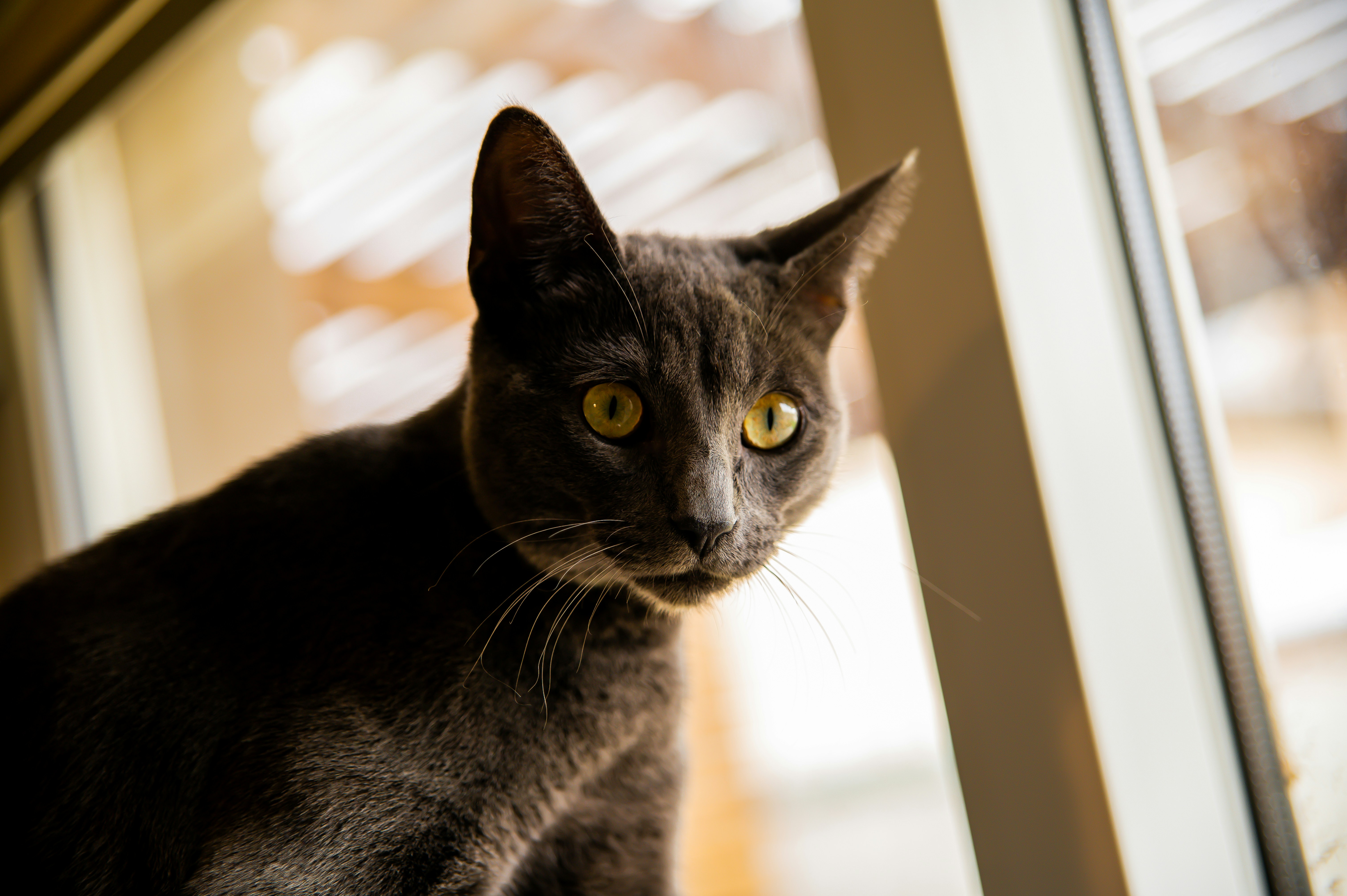 Photo by natachairken