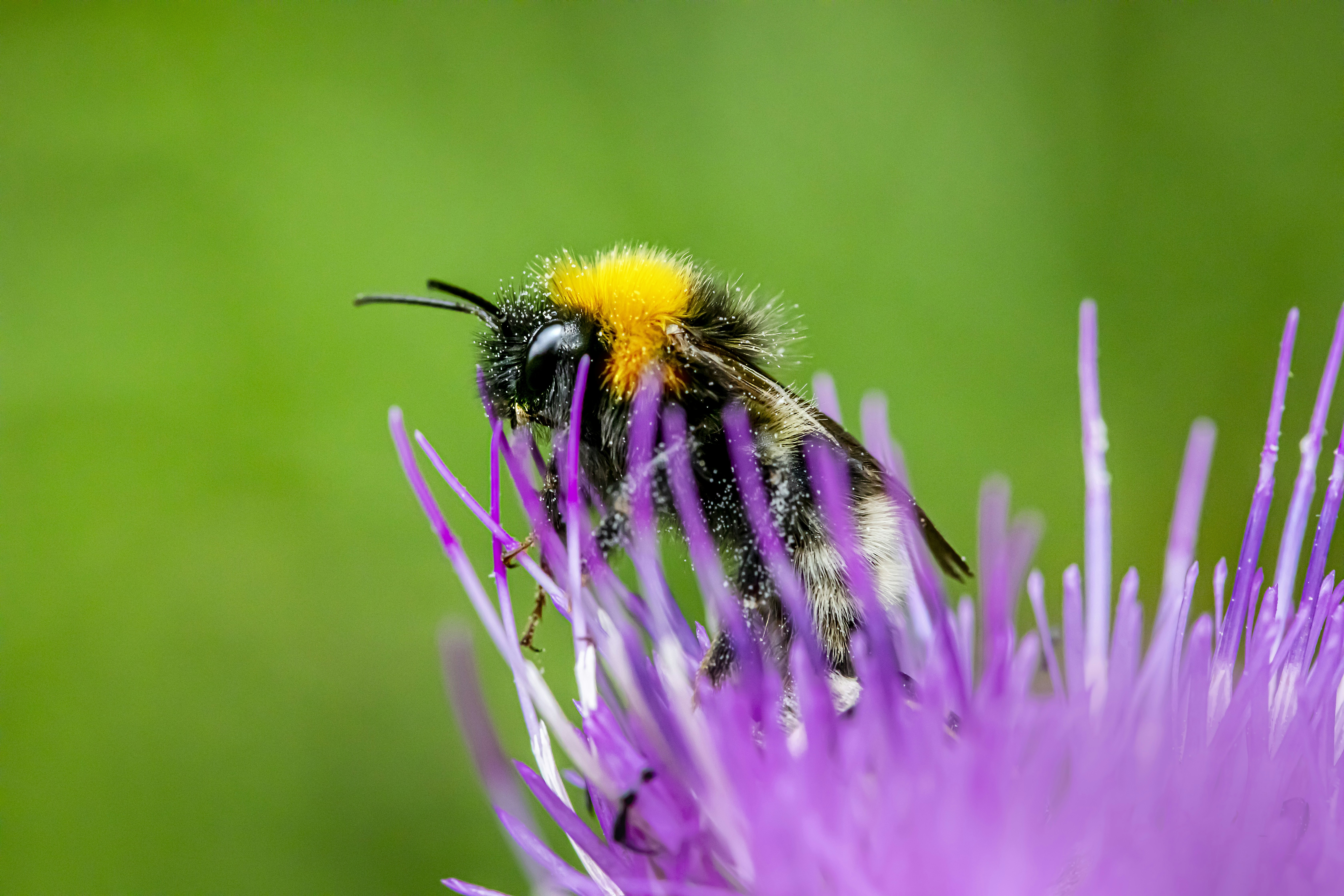 Photo by erik_karits