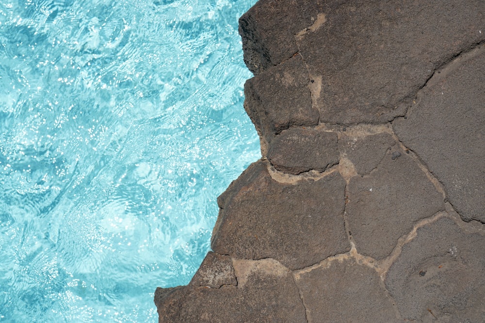 a close up of a rock near a body of water