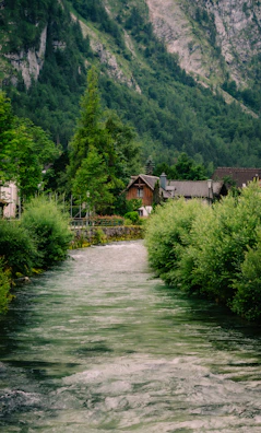 Peaceful river flowing beside the homestay with forested hills in the background.