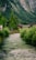 A serene river flows through a lush green valley, flanked by dense foliage and bushes. A rustic wooden house is nestled among the trees, with a backdrop of towering forested mountains.