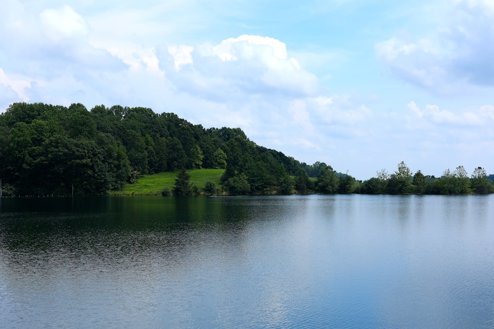 a large body of water surrounded by trees