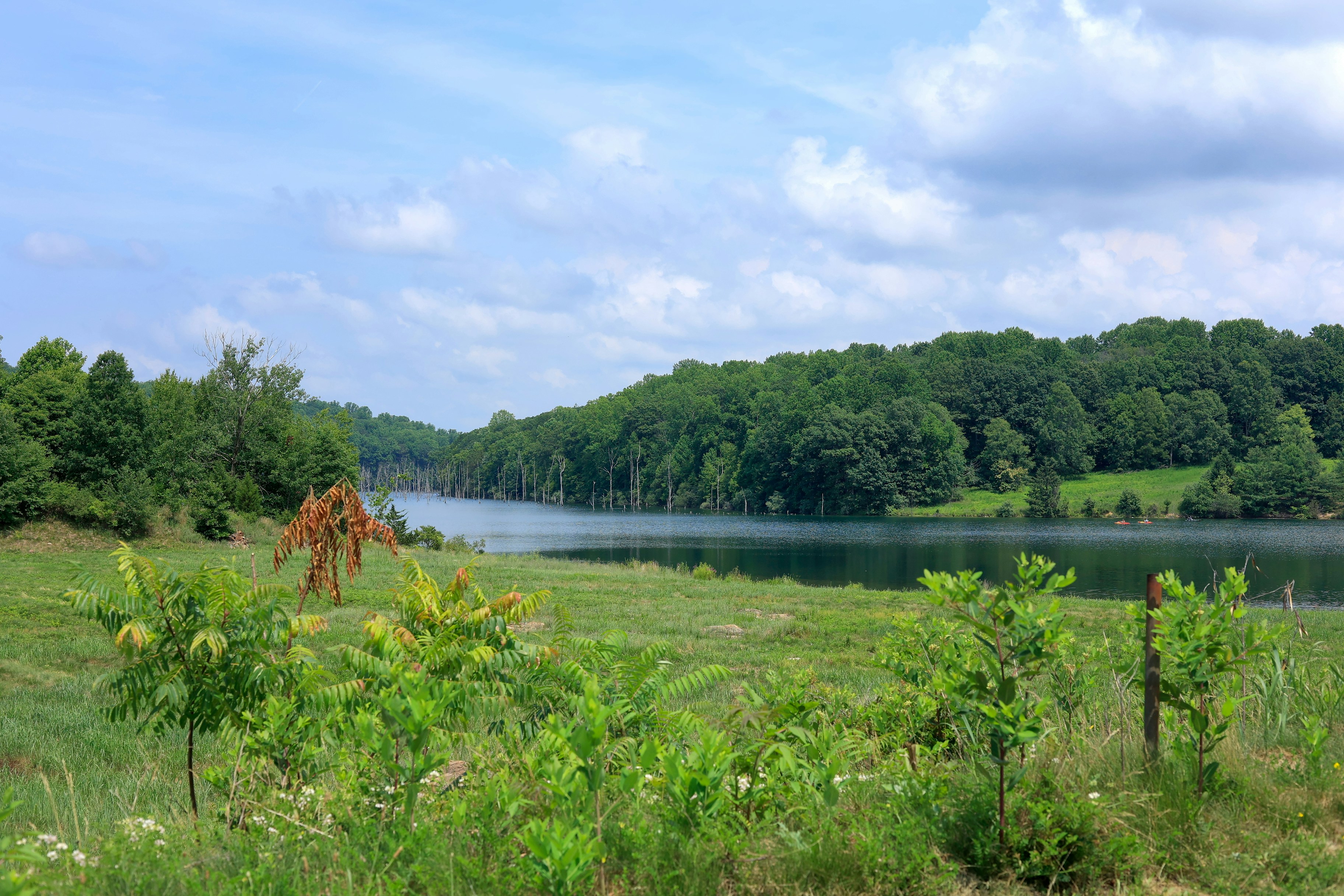 Photo by sherebiahtishbi