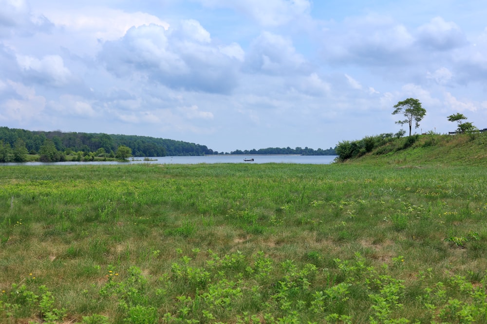 a grassy field with a lake in the background