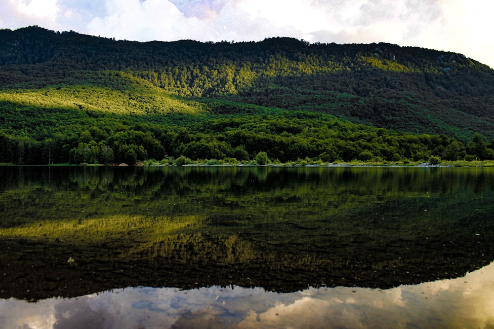 a large body of water surrounded by a lush green hillside