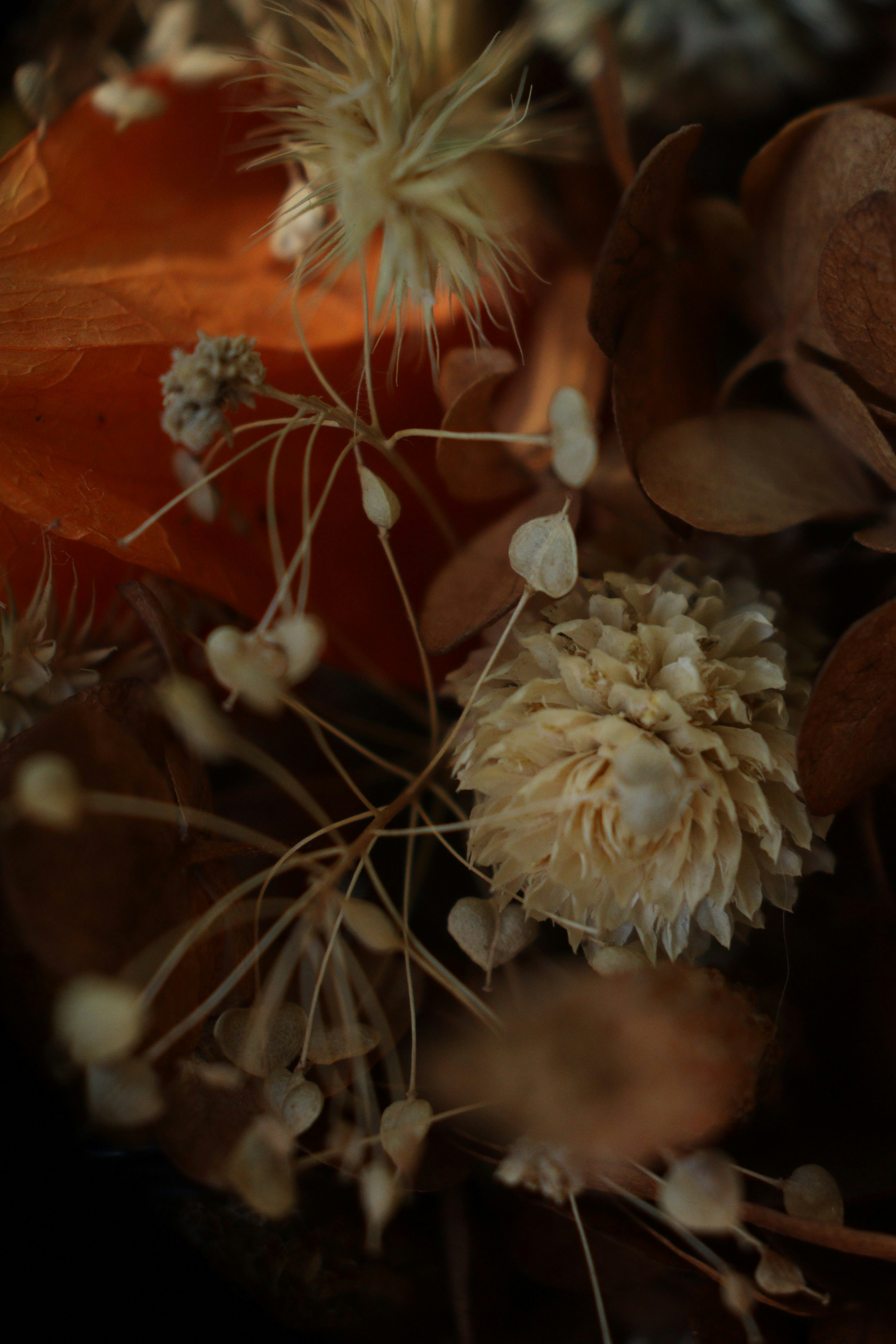 Photo by fridaflowers