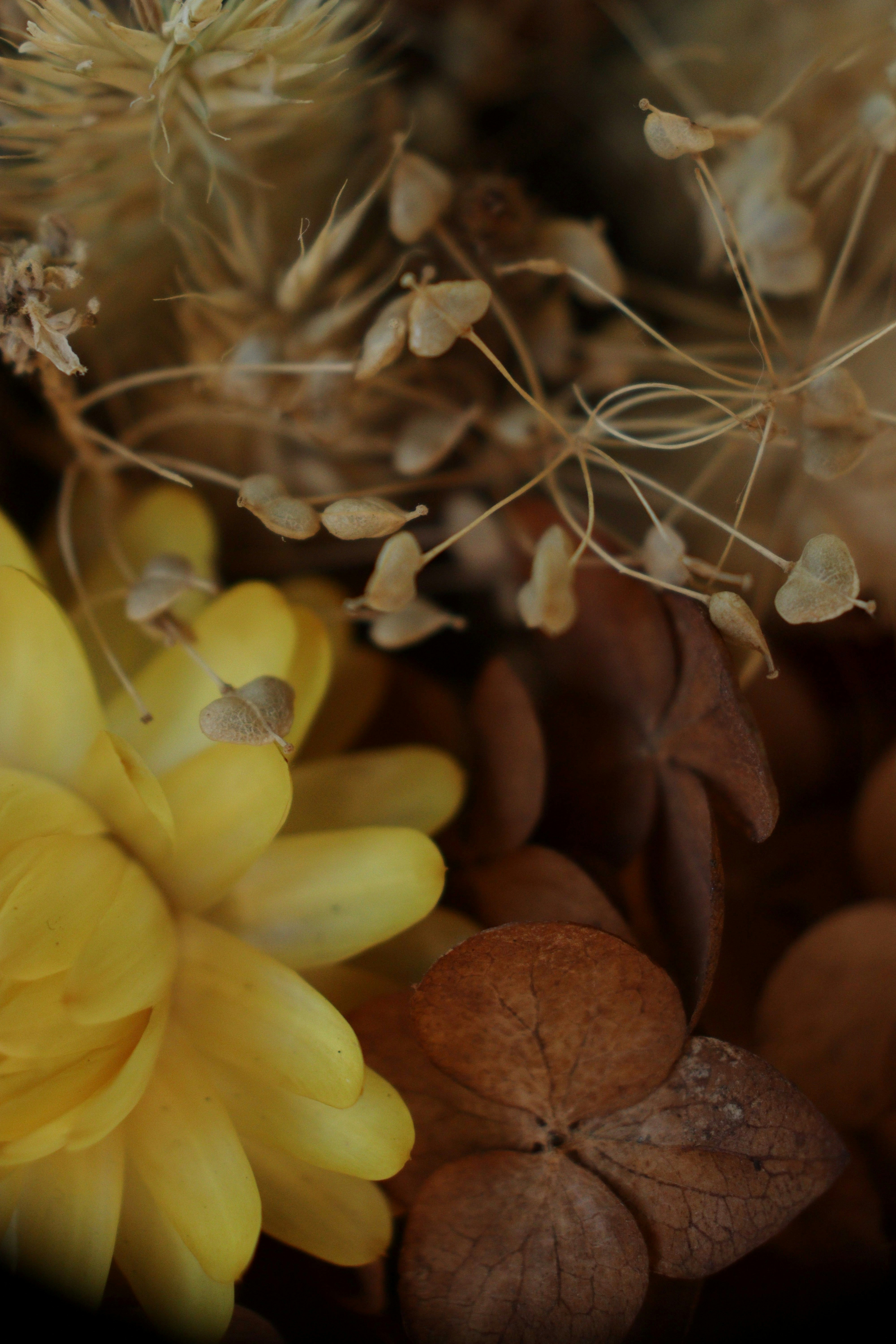 Photo by fridaflowers