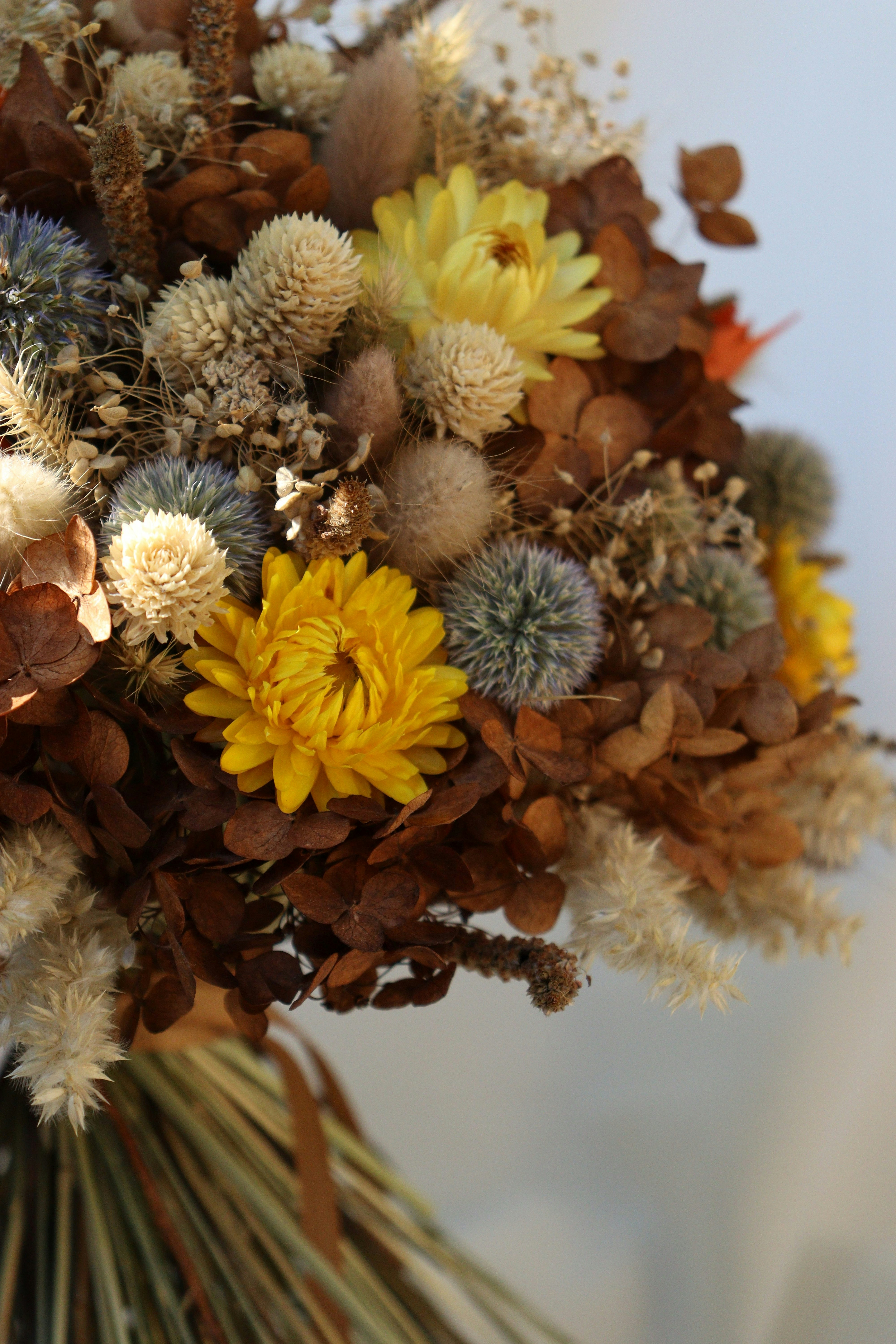 Photo by fridaflowers