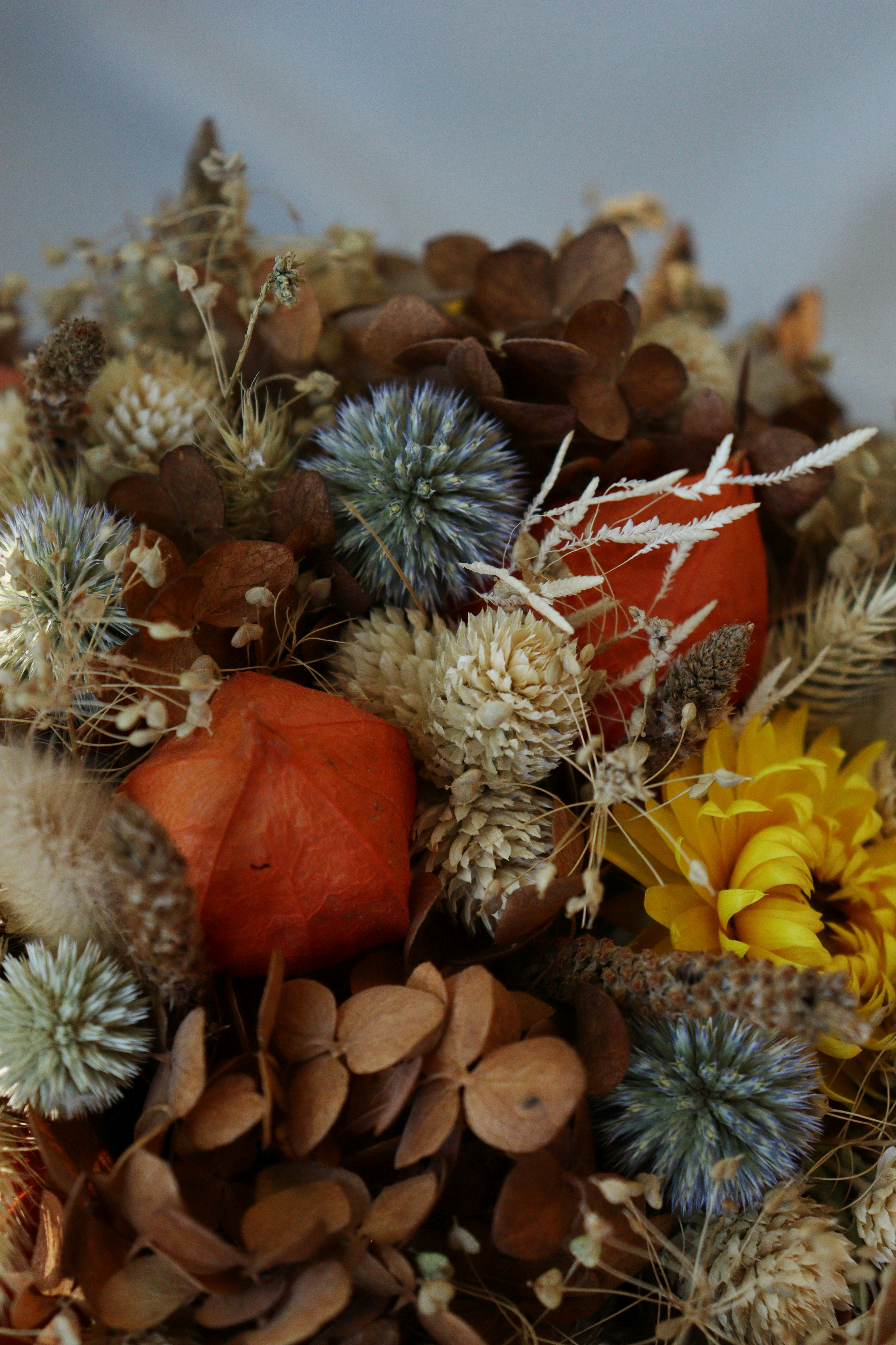 Photo by fridaflowers