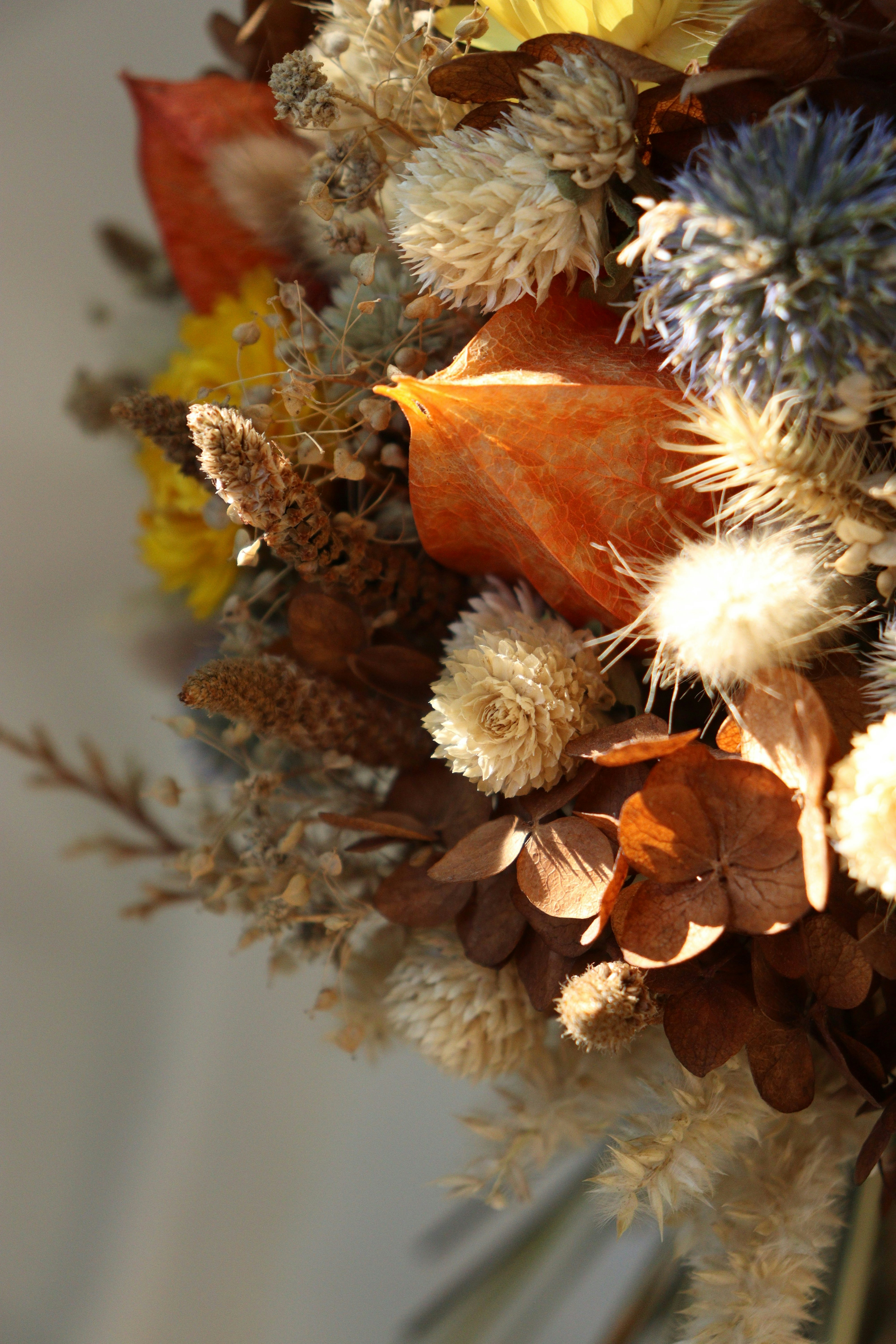 Photo by fridaflowers