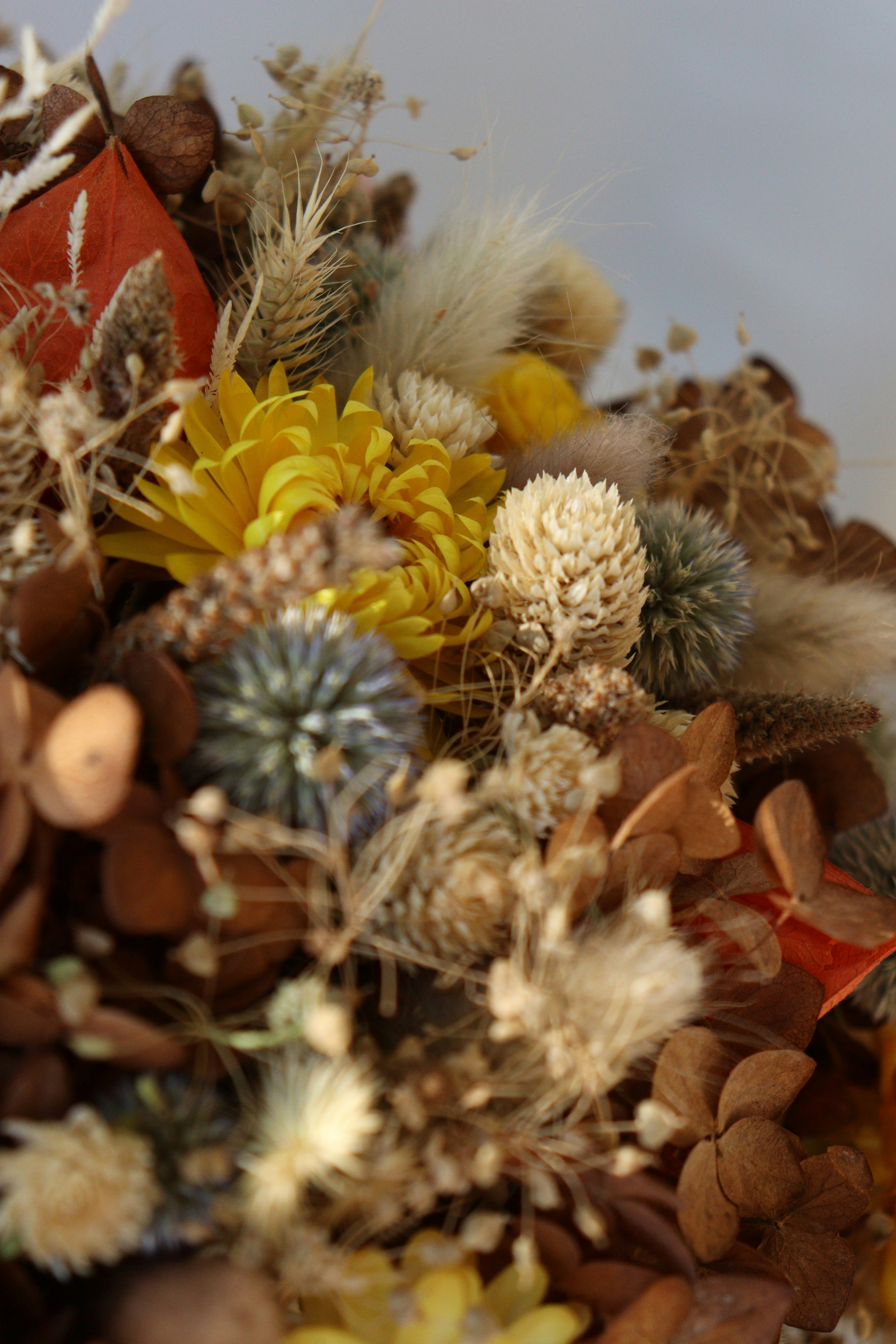 Photo by fridaflowers