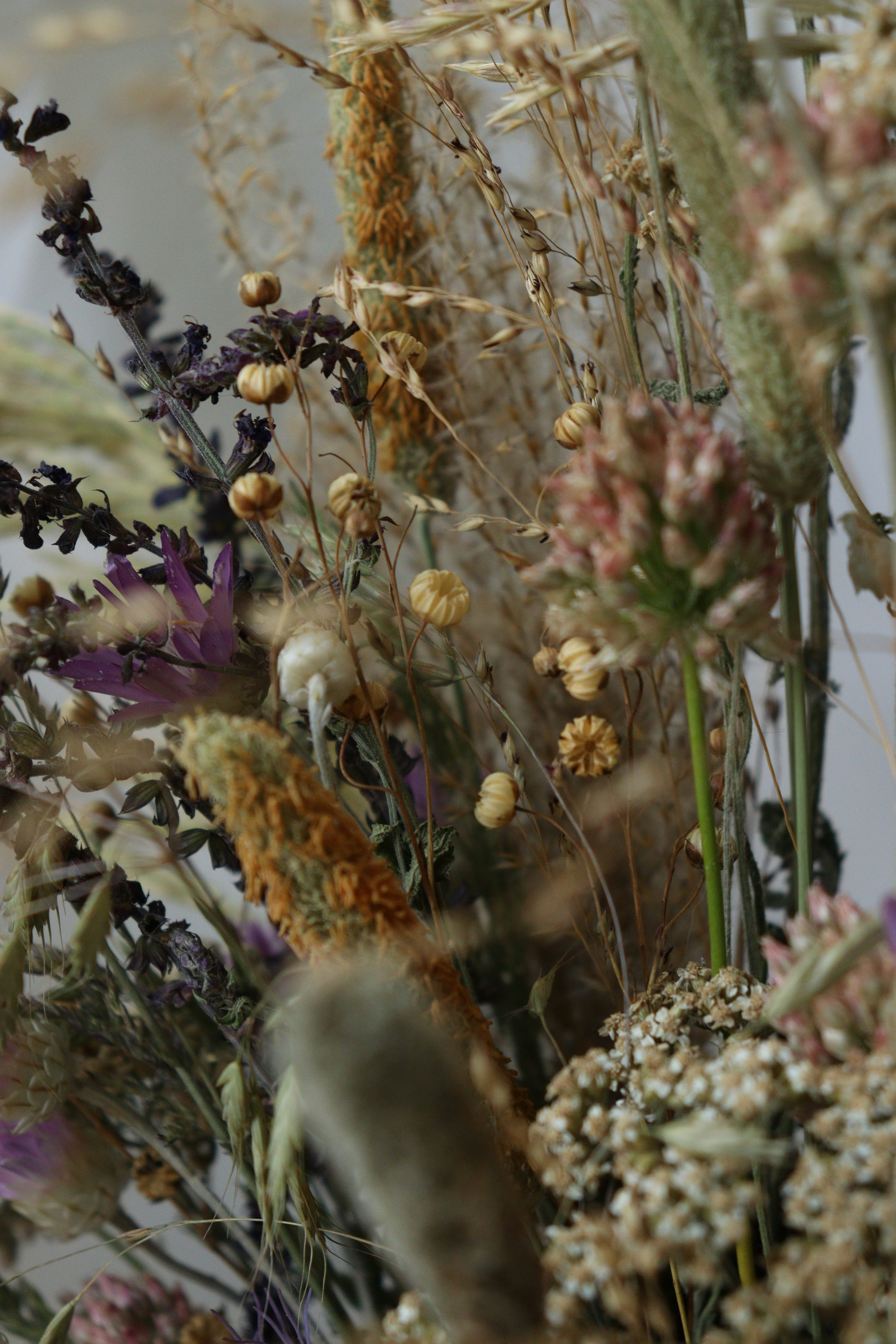 Photo by fridaflowers