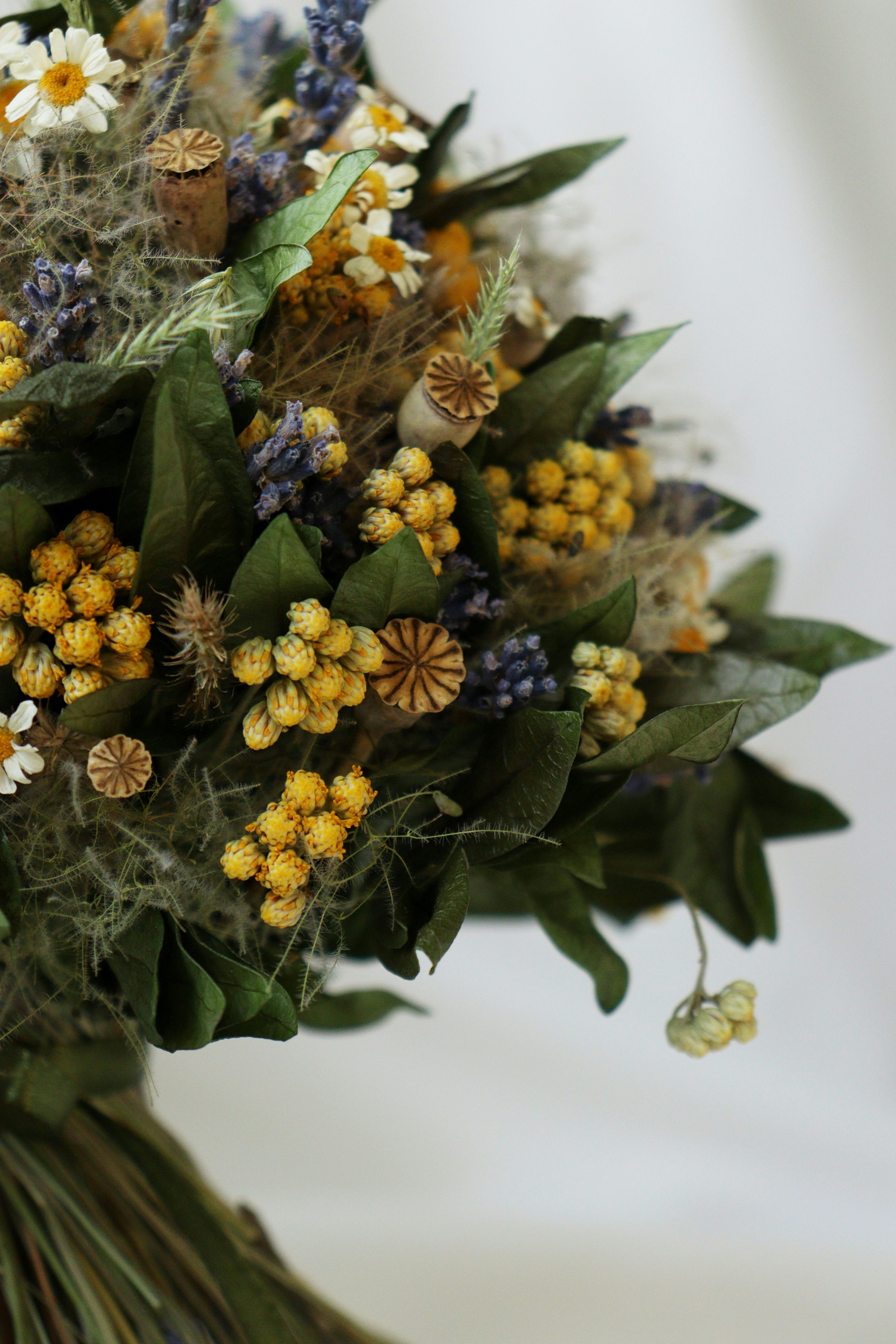 Photo by fridaflowers