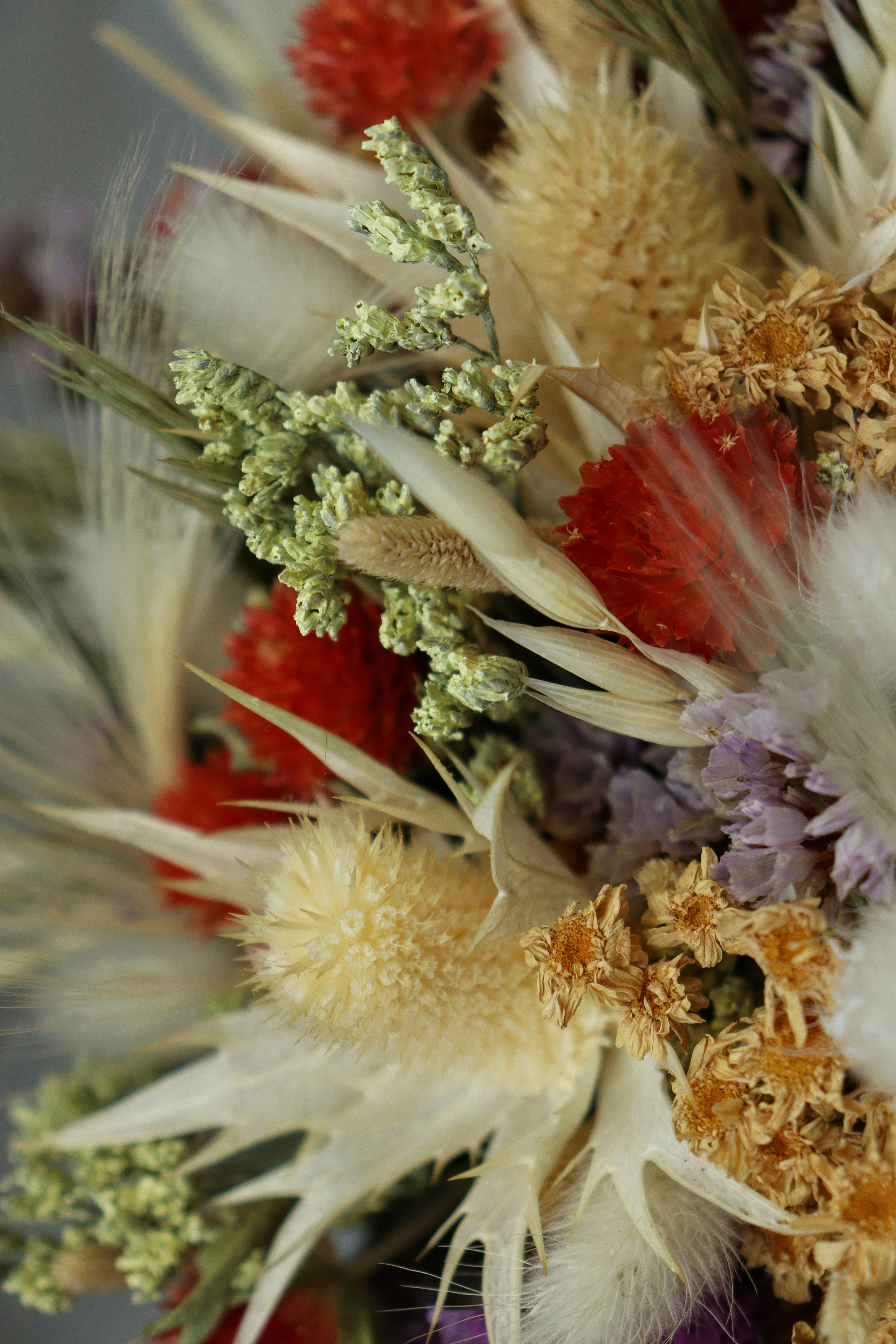 Photo by fridaflowers