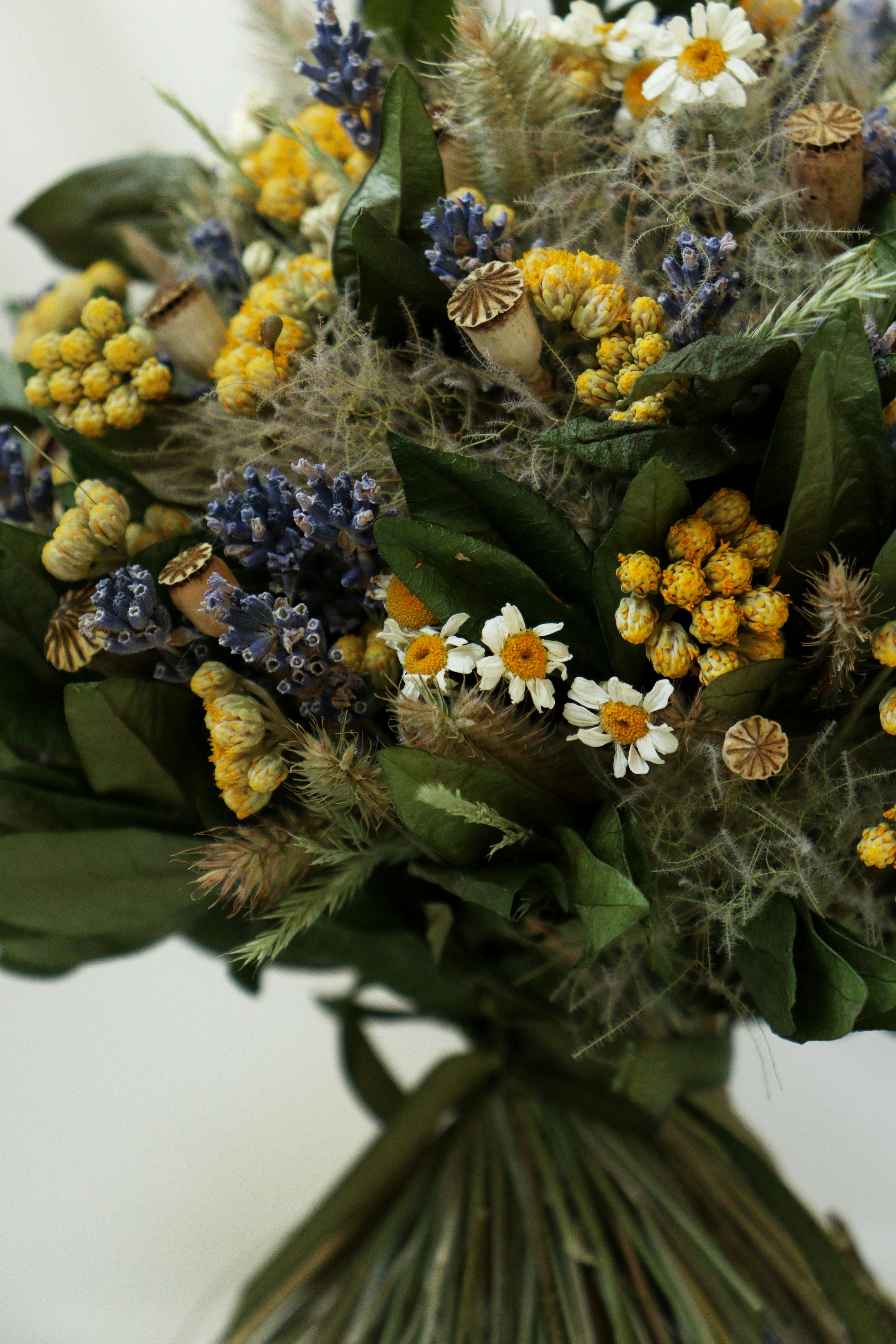 Photo by fridaflowers