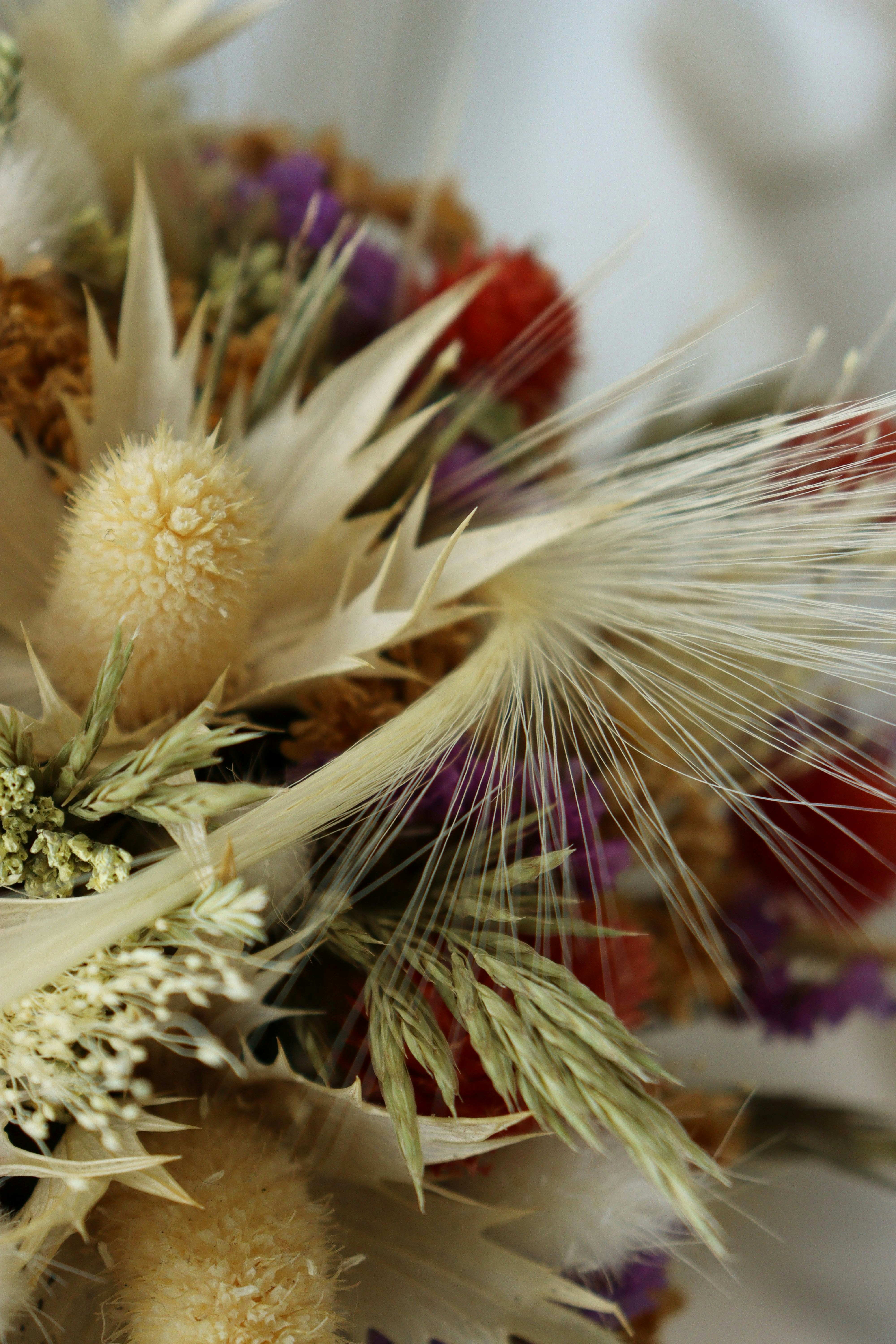 Photo by fridaflowers