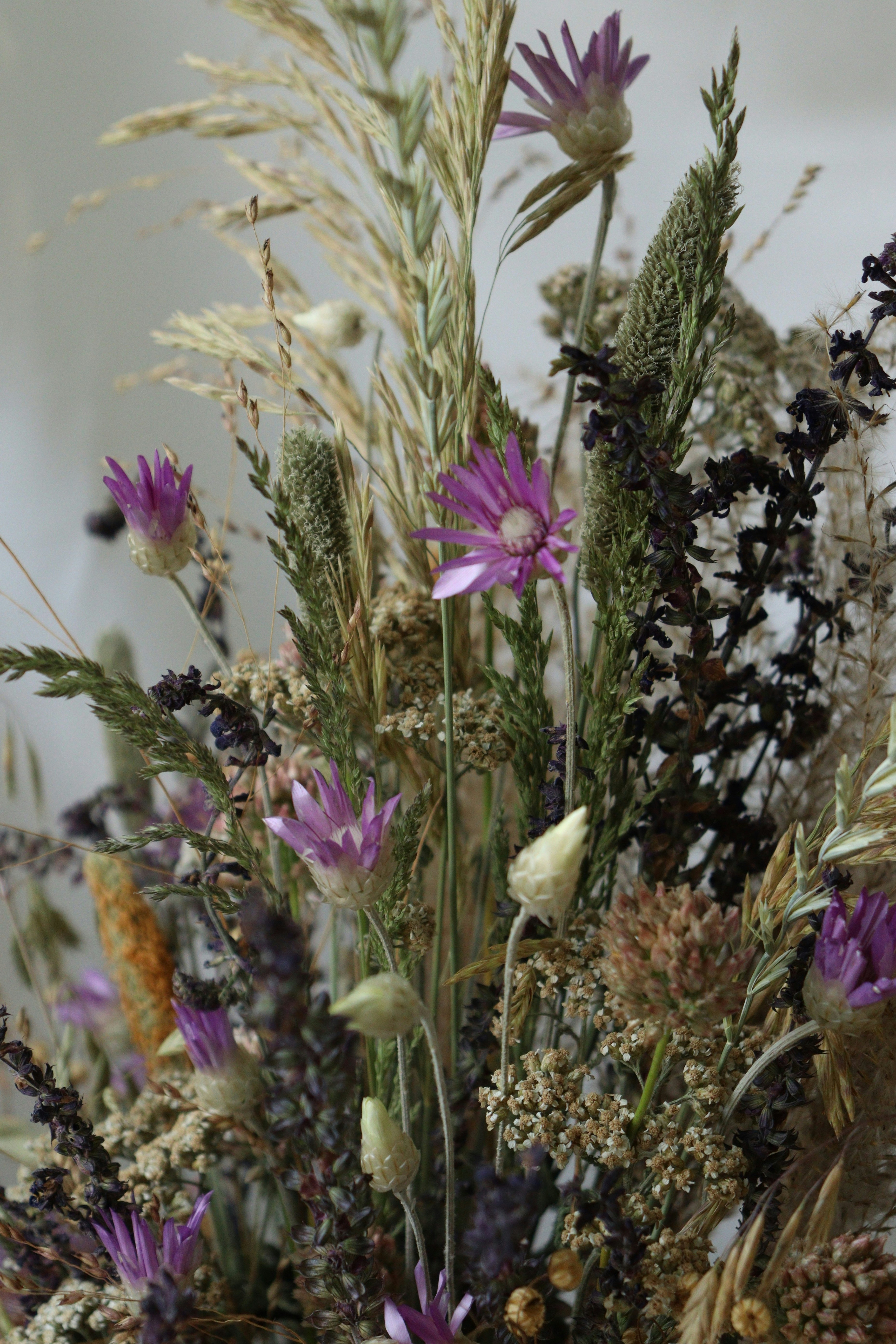 Photo by fridaflowers