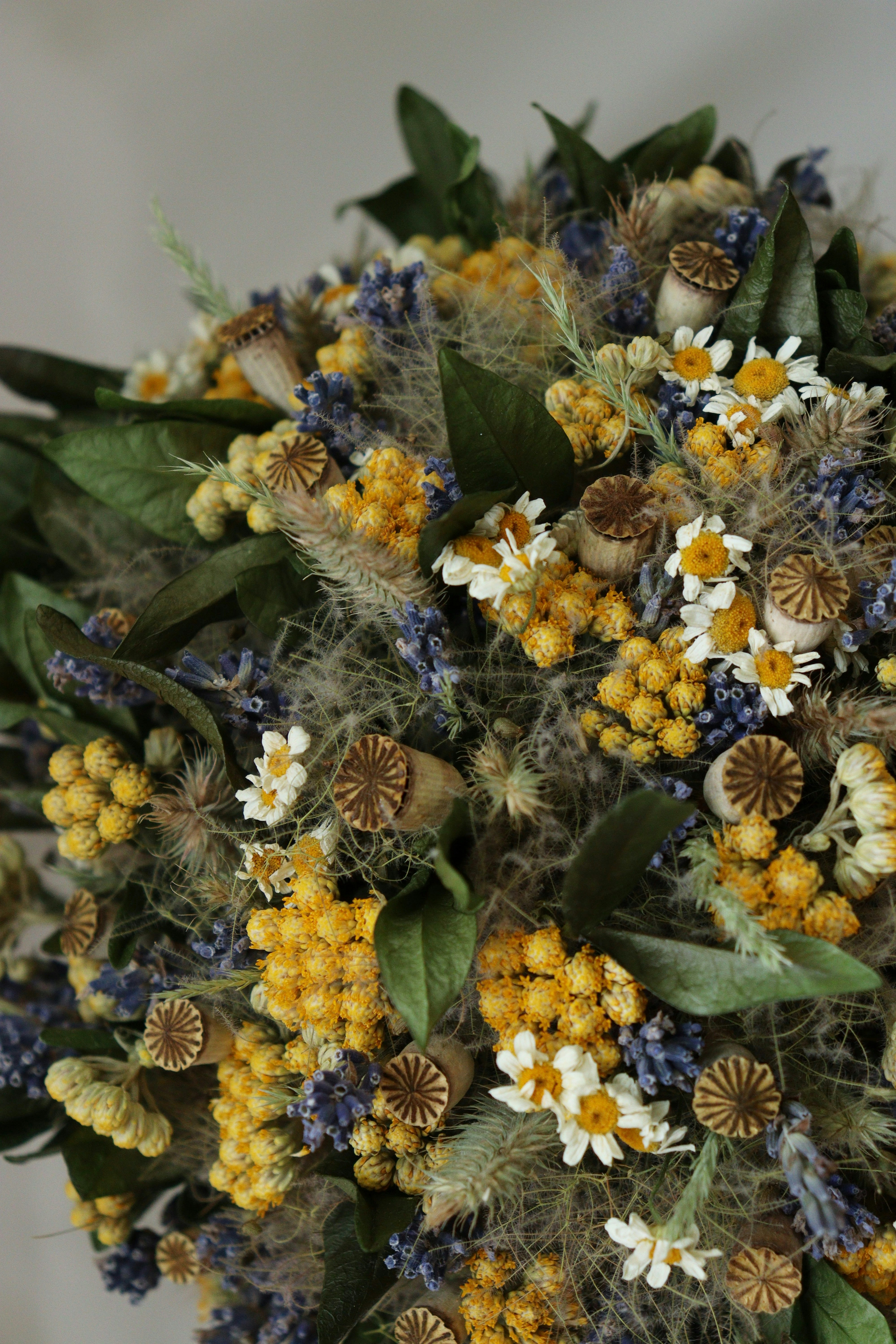 Photo by fridaflowers