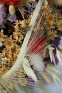A close-up of a dried floral arrangement featuring delicate, overlapping layers of various flowers and plant materials. The arrangement includes dried daisies with deep orange centers, some dried lavender-colored flowers, and additional textural elements like thin straw-like fibers and a vibrant red flower. Each component adds to the composition's intricate detail.