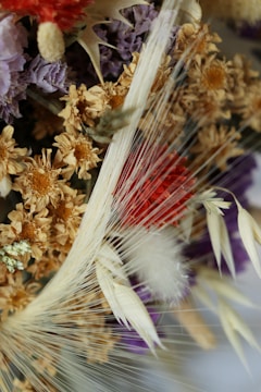 A close-up of a dried floral arrangement featuring delicate, overlapping layers of various flowers and plant materials. The arrangement includes dried daisies with deep orange centers, some dried lavender-colored flowers, and additional textural elements like thin straw-like fibers and a vibrant red flower. Each component adds to the composition's intricate detail.