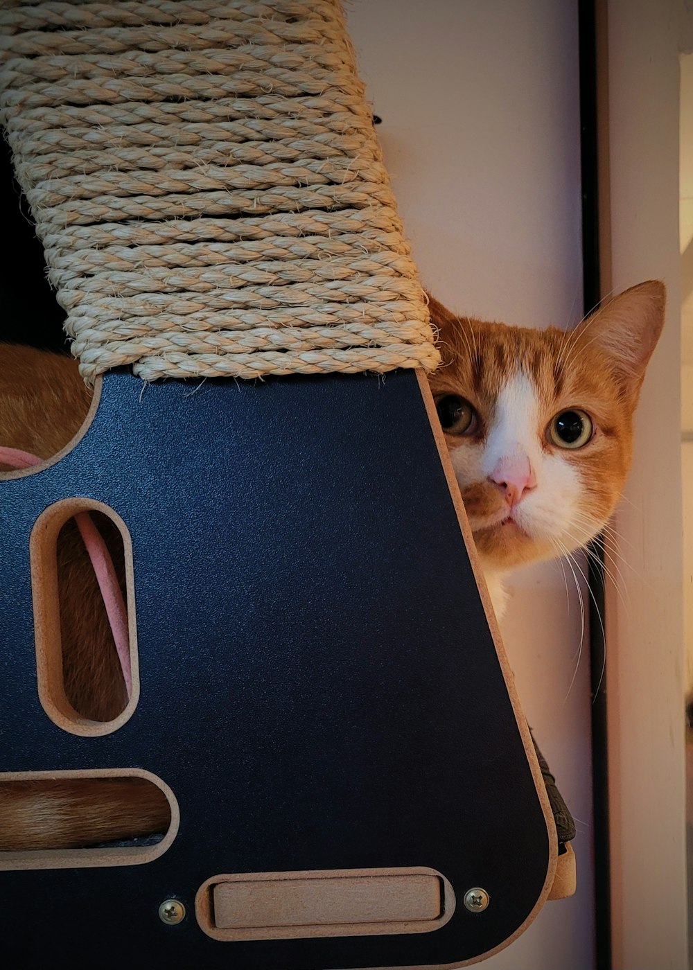 a cat peeking out from behind a cat tree