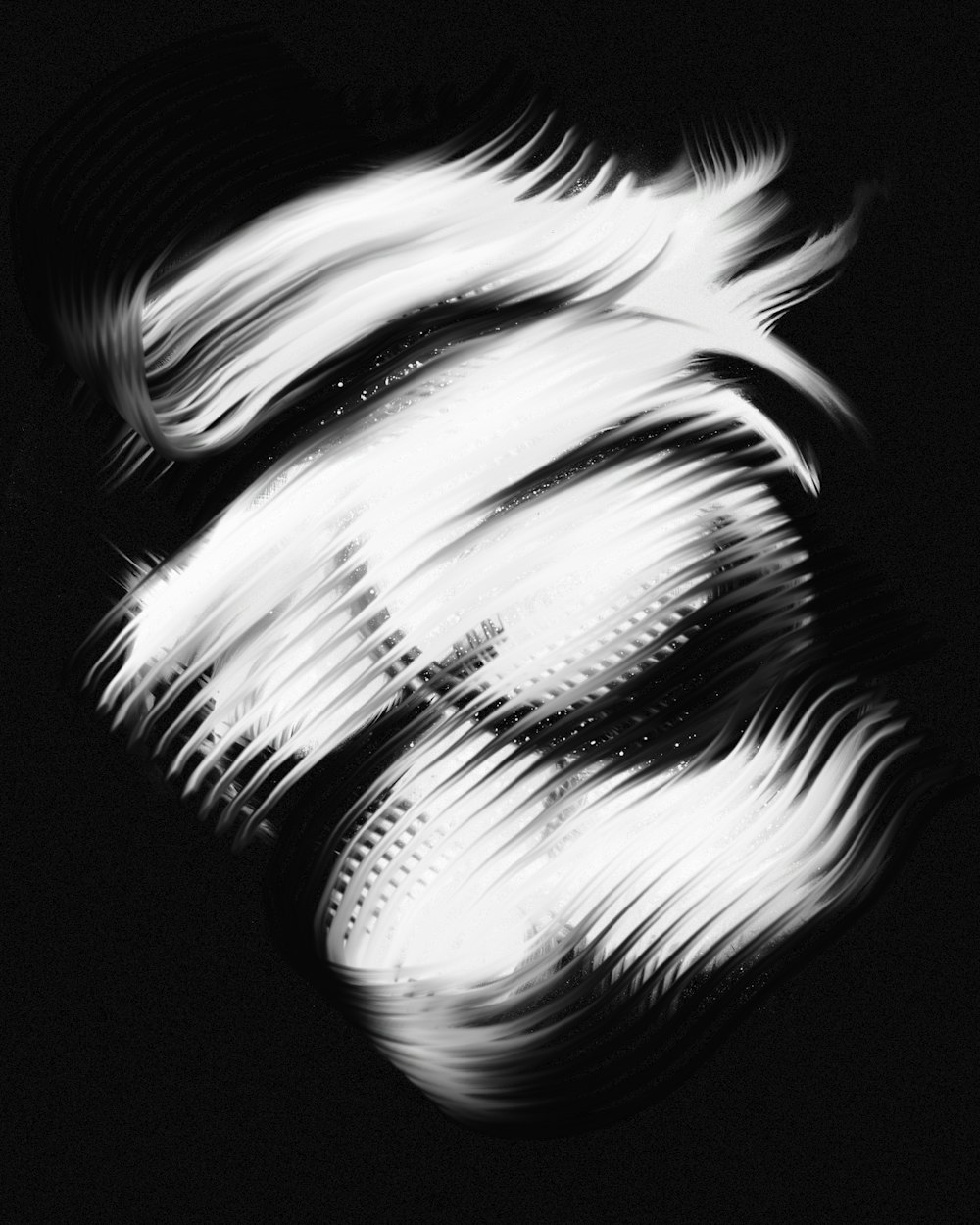 a black and white photo of feathers on a black background